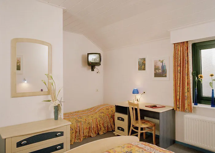 Hotel De Drie Linden 3*